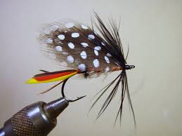 Fly for fly fishing